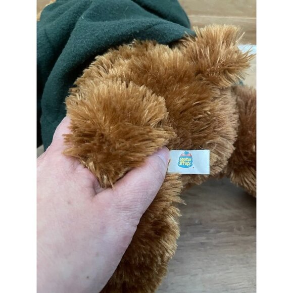 VHTF Rare NWT Good Stuff NFL Packers Bear - Picture 7 of 7